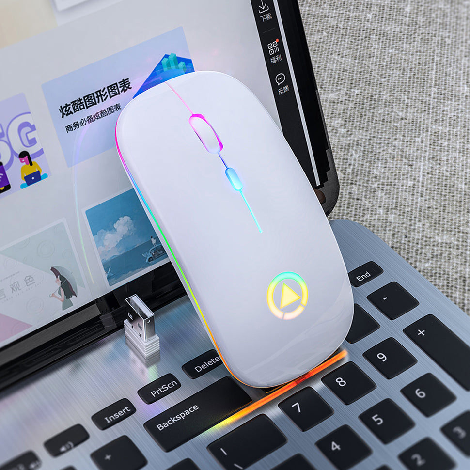 Souris Sans Fil Silencieuse Rechargeable