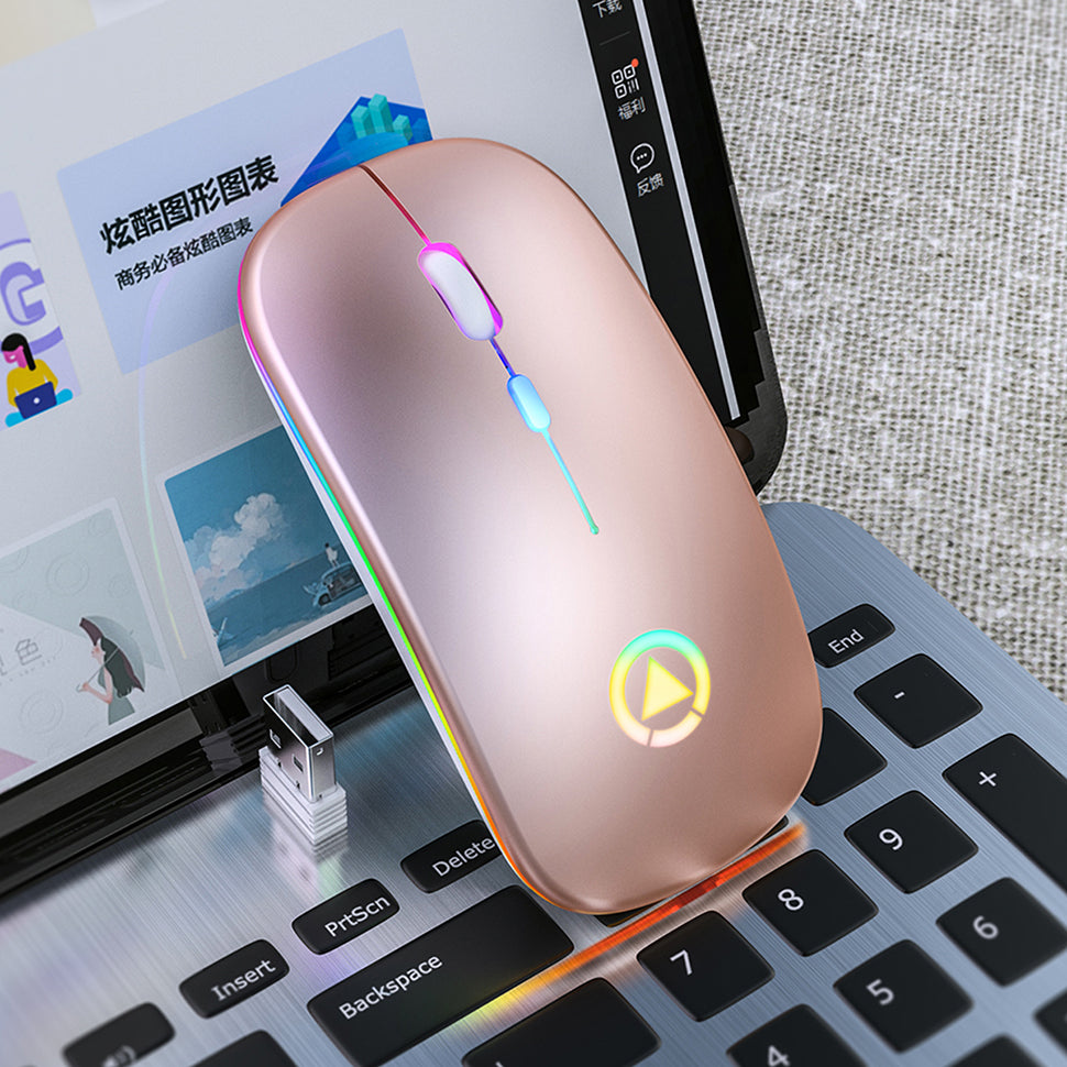 Souris Sans Fil Silencieuse Rechargeable